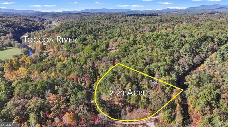223 Bear Walk Rd, Mineral Bluff, GA 30559 - MLS 10216278 for Sale