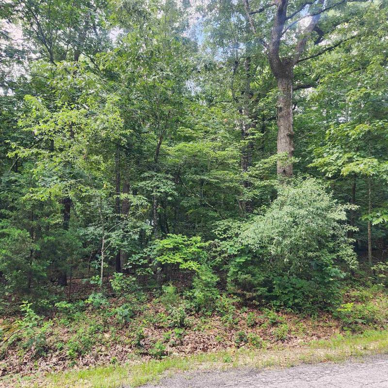 Cherokee Village, Sharp County, AR Undeveloped Land, Homesites for sale Property ID: 416915918