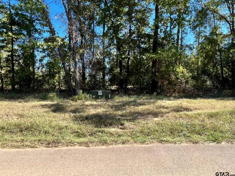 CR 2123 (lot 11), Whitehouse, TX 75791 for Sale