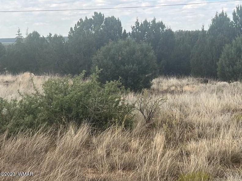 8422 Navajo Dr, Show Low, AZ 85901 - MLS 247947 for Sale