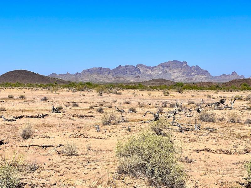 Tonopah, Maricopa County, AZ Recreational Property, Undeveloped Land for sale Property ID: 418021825