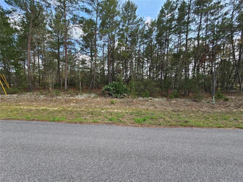 Citrus Springs, Citrus County, FL Farms and Ranches, Homesites for sale Property ID: 416188281