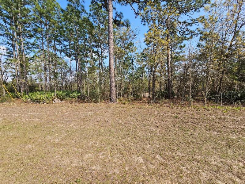 Citrus Springs, Citrus County, FL Farms and Ranches, Homesites for sale Property ID: 416188280