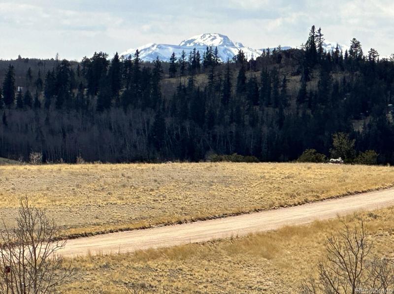 499 Kiowa St, Como, CO 80432 - MLS 6098250 for Sale