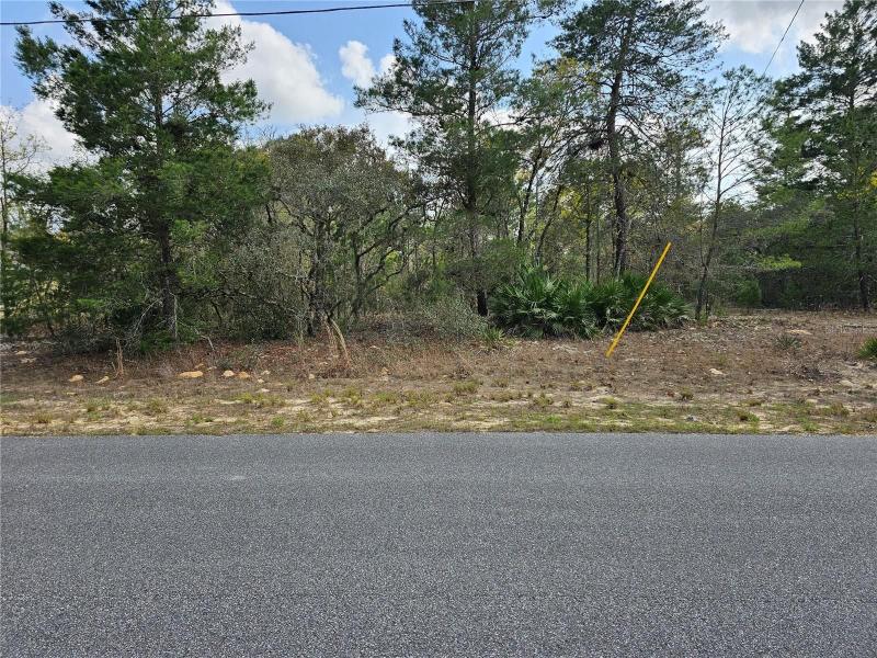 Citrus Springs, Citrus County, FL Farms and Ranches, Homesites for sale Property ID: 416188282
