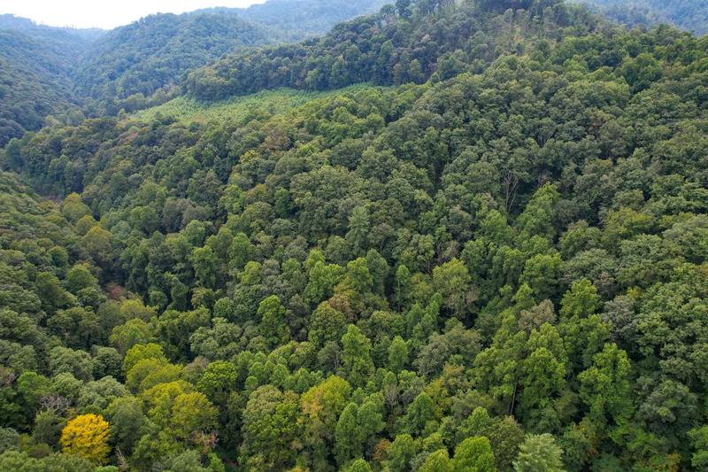 Tbd Livingston Creek, Bristol, VA 24202  621091575 for Sale