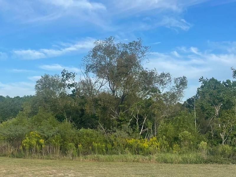 Laurel, Jones County, MS Undeveloped Land for sale Property ID: 417928867