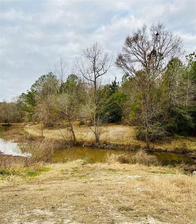 Lot 380 County Road 6494, Dayton, TX 77535 for Sale