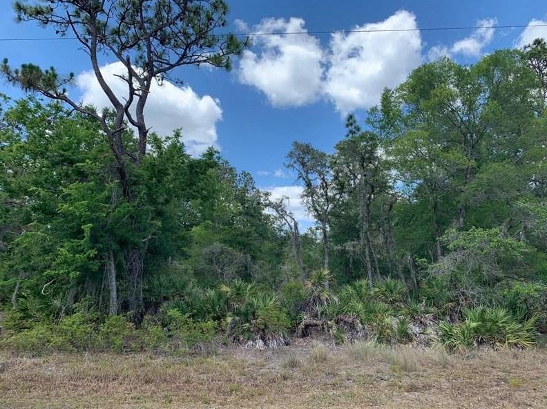 11489 W Cornflower Dr, Crystal River, FL 34428 - MLS W7851228 for Sale