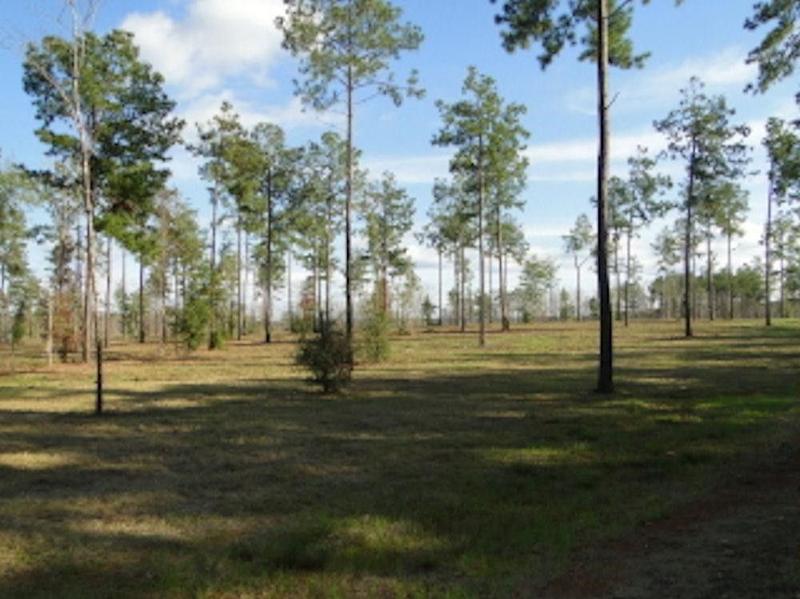 Hemphill, Sabine County, TX Undeveloped Land, Homesites for sale Property ID: 416139123
