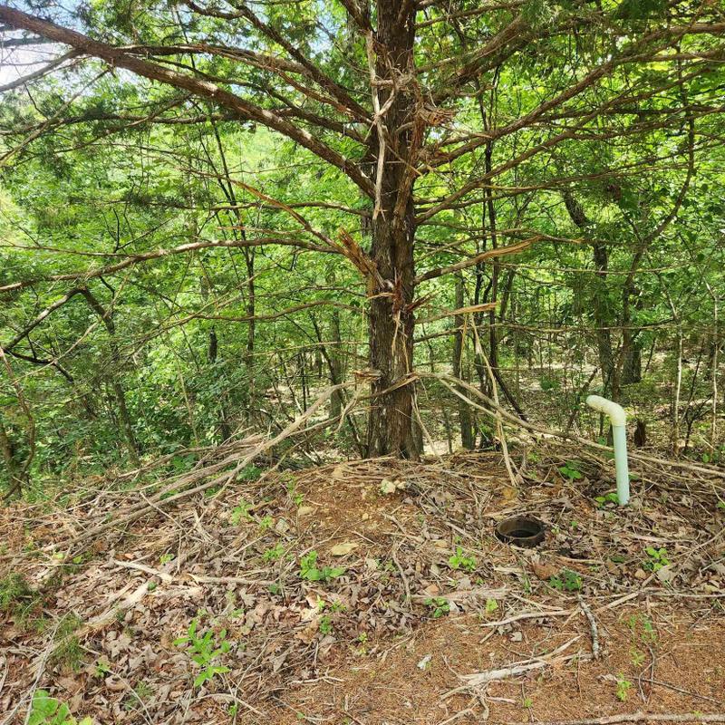 Cherokee Village, Sharp County, AR Undeveloped Land, Homesites for sale Property ID: 416915915