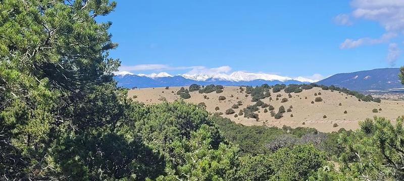 TBD COUNTY RD 540, Gardner, CO 81040 Land For Sale  MLS# 218210
