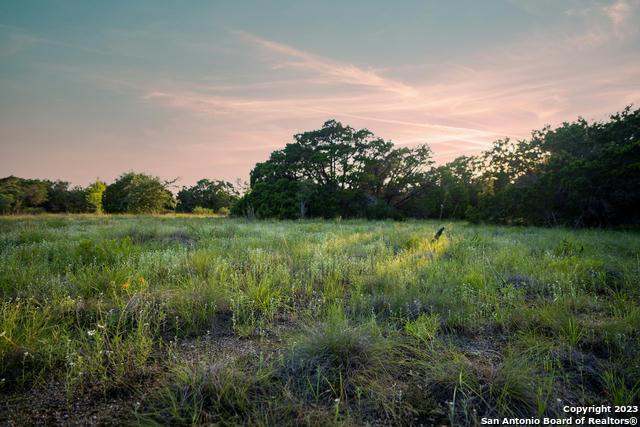 1347 GOLDS RD, Wimberley, TX 78676 Land For Sale  MLS# 1728137