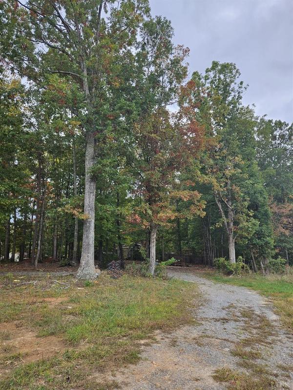 Goode, Bedford County, VA Undeveloped Land, Homesites for sale Property ID: 418066667