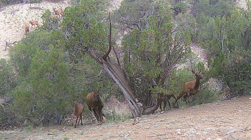 Lots 1-2 Colo Land & Grazing, Gardner, CO 81040 - MLS 4886957 for Sale