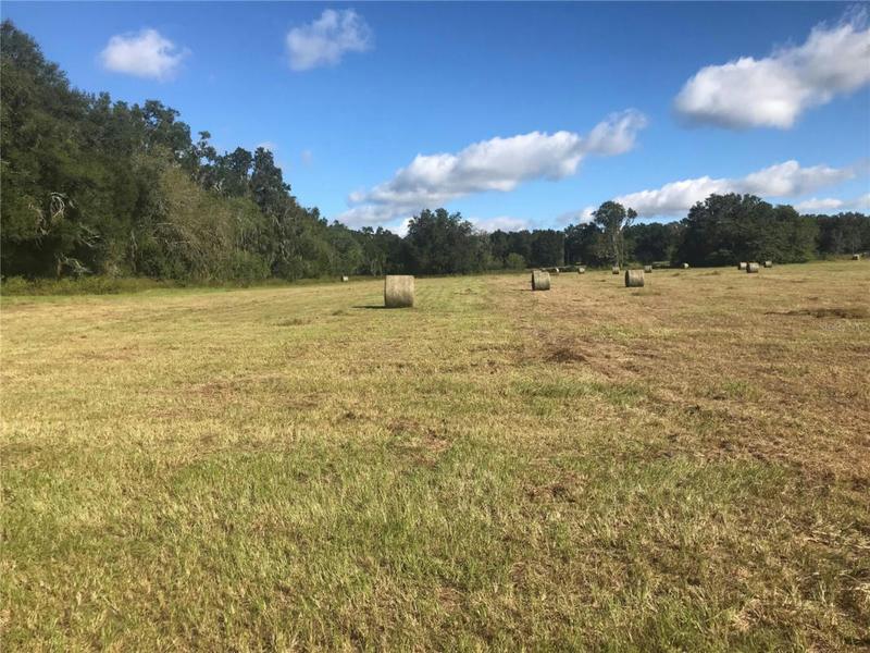 TBD NW 133RD LN, REDpart, FL 32686 Land For Sale  MLS# OM666463