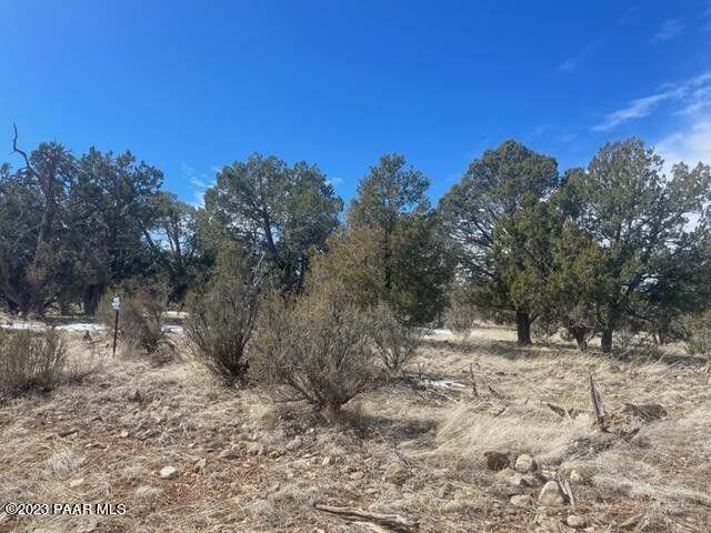 Seligman, Yavapai County, AZ Undeveloped Land for sale Property ID: 415980590