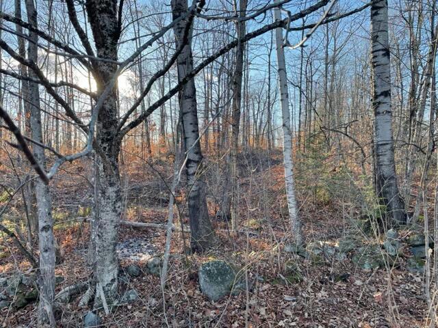 M13 L22-1 GREENLEAF ROAD, Anson, ME 04911 Land For Sale  MLS# 1578005