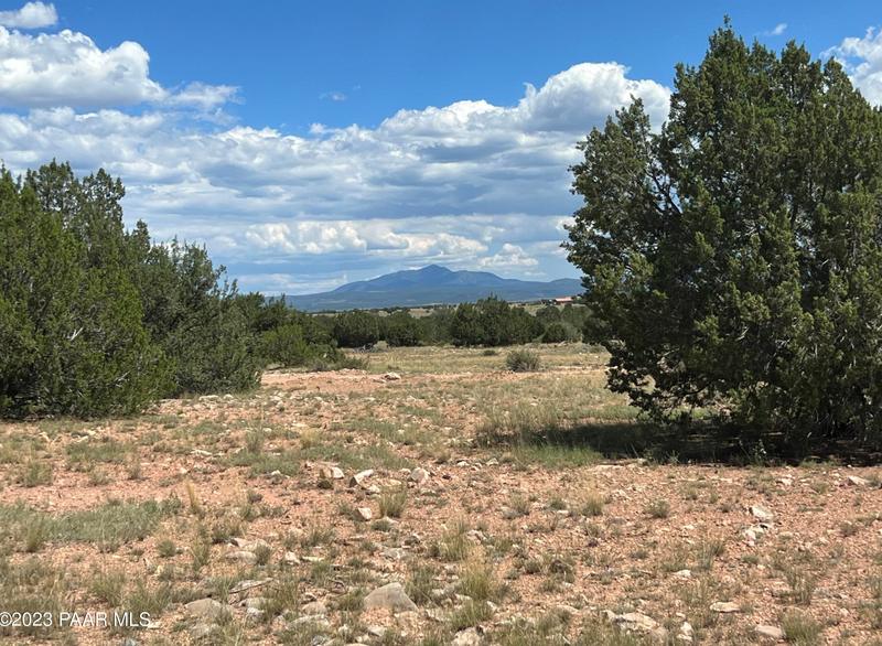 11 Chain Ranch Rd, Ash Fork, AZ 86320 - MLS 1058491 for Sale