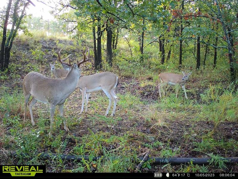 Wetumka, Hughes County, OK Recreational Property, Hunting Property for sale Property ID: 416677911
