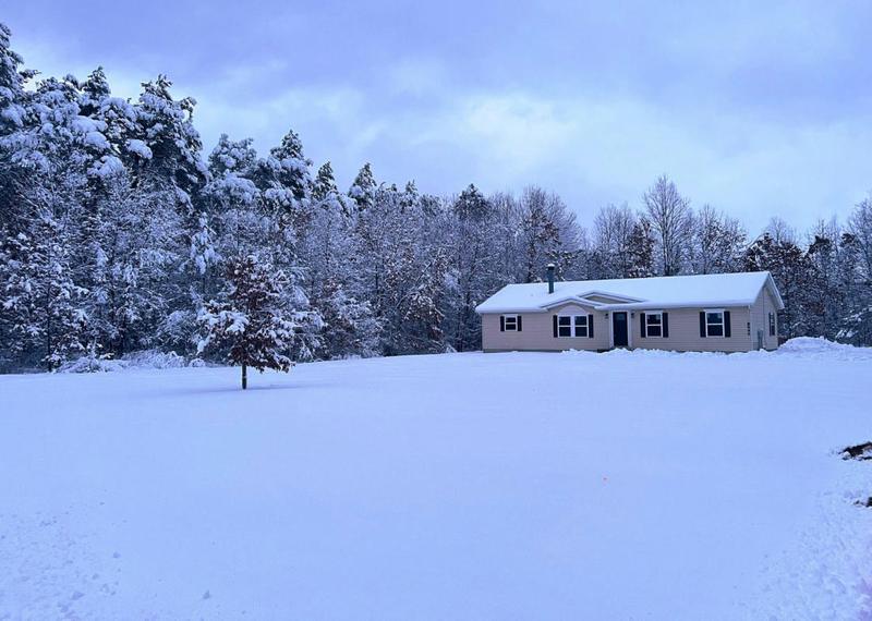8646 80TH AVE, Mecosta, MI 49332 Single Family Residence For Sale  MLS# 24003229