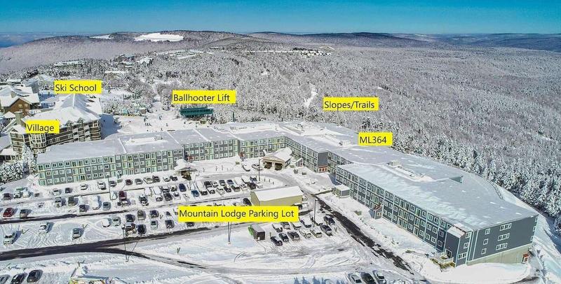364 Mountain Lodge, Snowshoe, WV 26209  616273999 for Sale