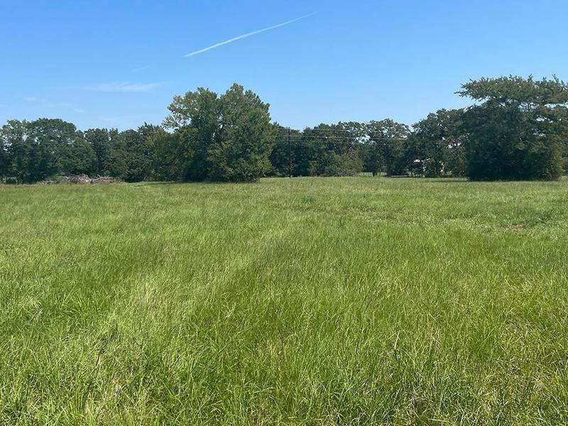 12018 County Road 229, Bedias, TX 77831 for Sale