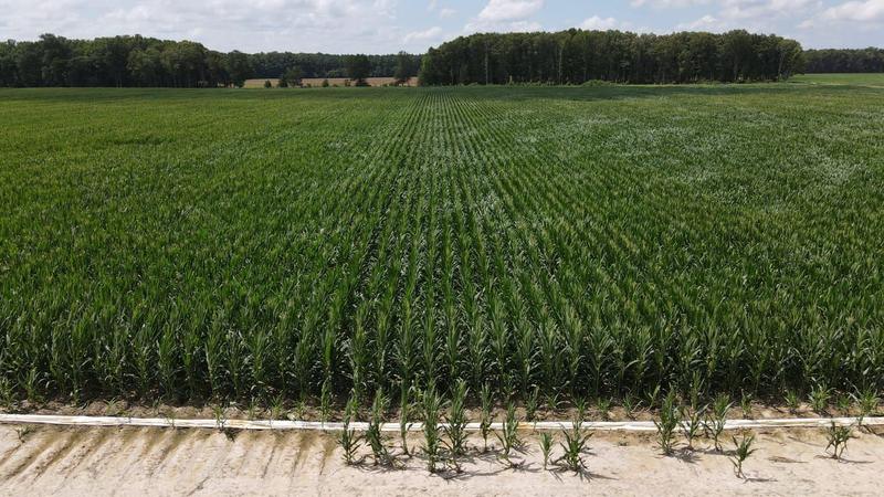 Russell, White County, AR Farms and Ranches, Recreational Property for sale Property ID: 418621544