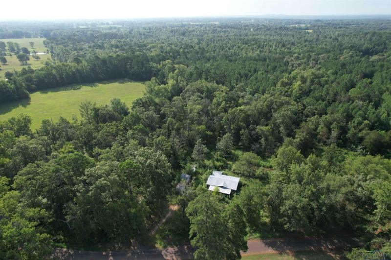 6228 CAMEL RD, Gilmer, TX 75644 Manufactured Home For Sale  MLS# 20234198