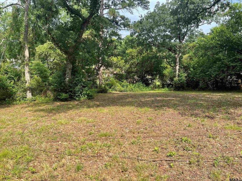 309 Harmony, Hideaway, TX 75771 for Sale