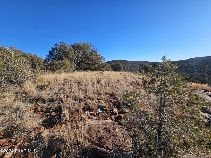 Seligman, Yavapai County, AZ Undeveloped Land, Homesites for sale Property ID: 418701875