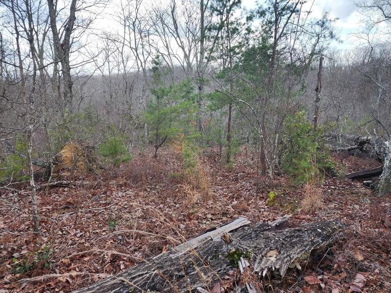 Holladay, Benton County, TN Homesites for sale Property ID: 414178298