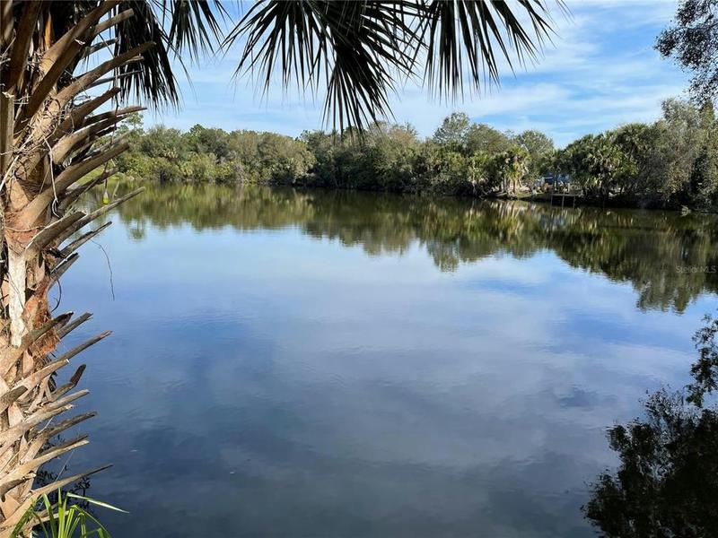 12152 BORAX AVE, PUNTA GORDA, FL 33955 Land For Sale  MLS# C7454171