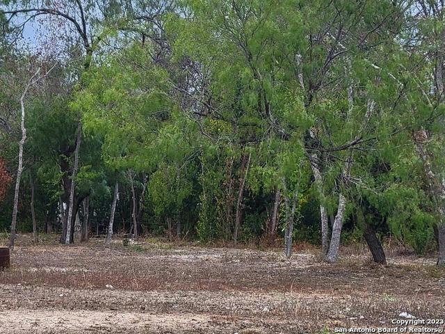 1251 SW 35TH ST, San Antonio, TX 78237 Land For Sale  MLS# 1725643