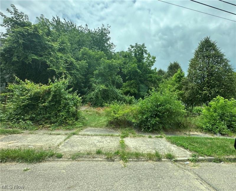 532 DOUGLAS ST, Akron, OH 44307 Land For Sale  MLS# 4476383