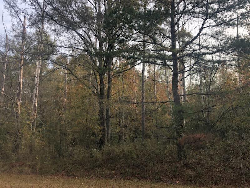 Waynesboro, Burke County, GA Undeveloped Land, Homesites for sale Property ID: 418271061