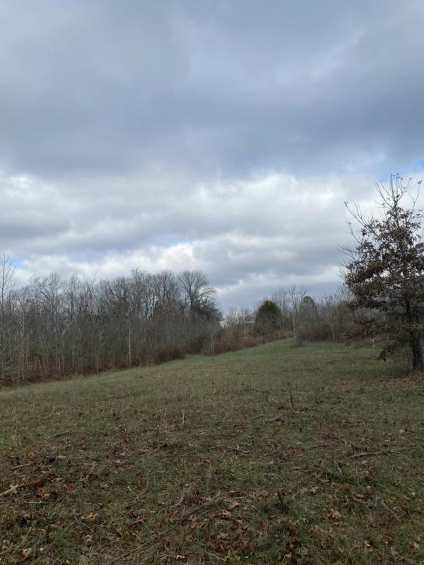 0 BOB LEWIS RD, Indian Mound, TN 37079 Land For Sale  MLS# 2601479