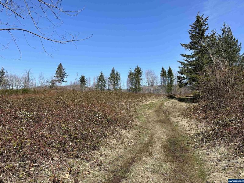 Gates, Marion County, OR Undeveloped Land for sale Property ID: 416105597