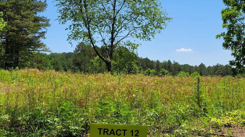 3401 Hazel Patch Road, East Bernstadt, KY 40729  620603702 for Sale