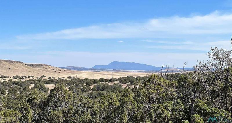 421 Cimarron Drive, Quemado, NM 87829  606779487 for Sale