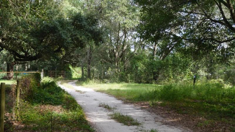 Weirsdale, Marion County, FL Farms and Ranches, Undeveloped Land, Homesites for sale Property ID: 418035278