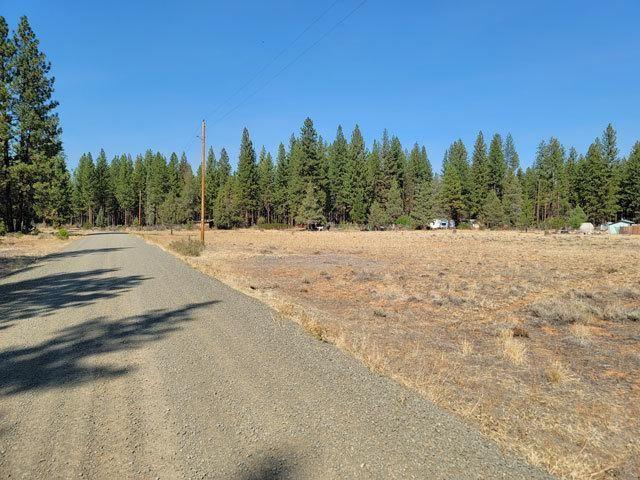 Mcarthur, Shasta County, CA Undeveloped Land, Homesites for sale Property ID: 417632275