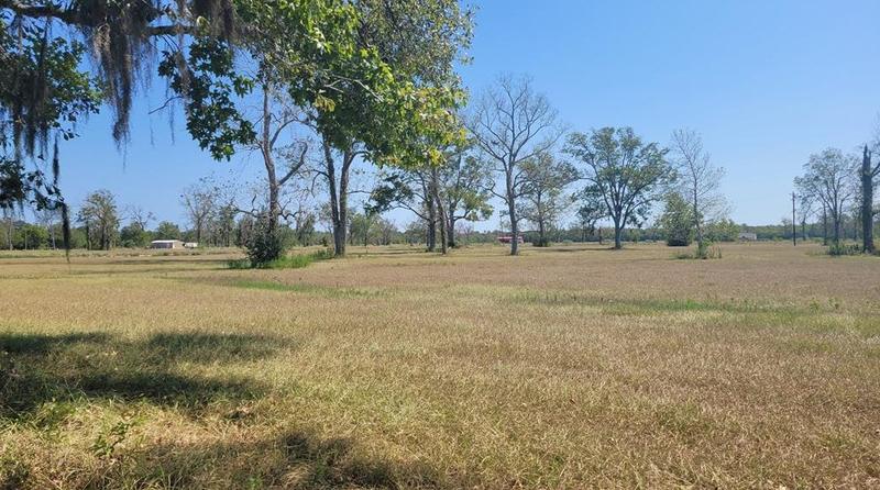 Tbd E1 County Road 2094, Liberty, TX 77575 - MLS 37824632 for Sale