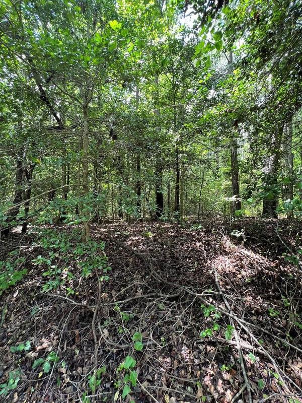 Lancaster, Lancaster County, VA Homesites for sale Property ID: 417159469