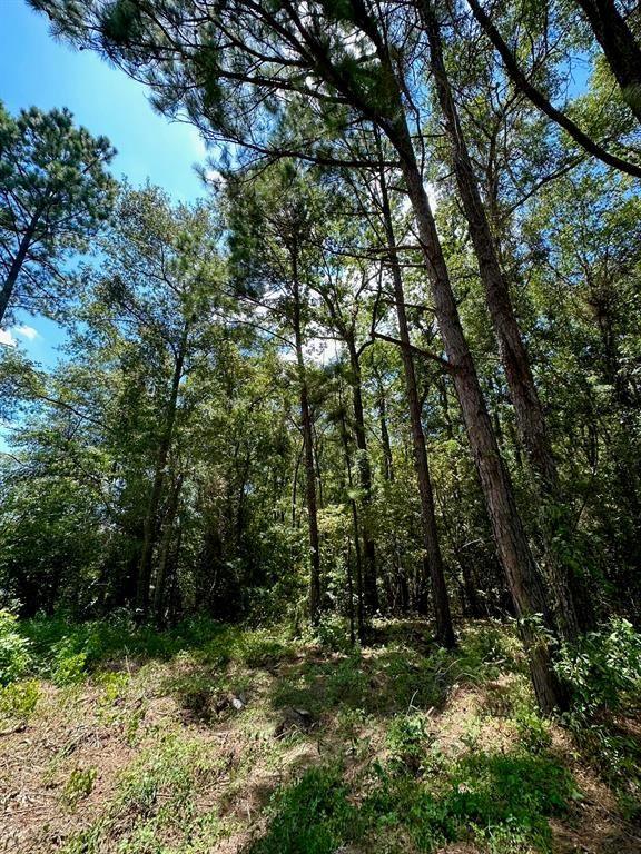 Cleveland, Liberty County, TX Homesites for sale Property ID: 417335832