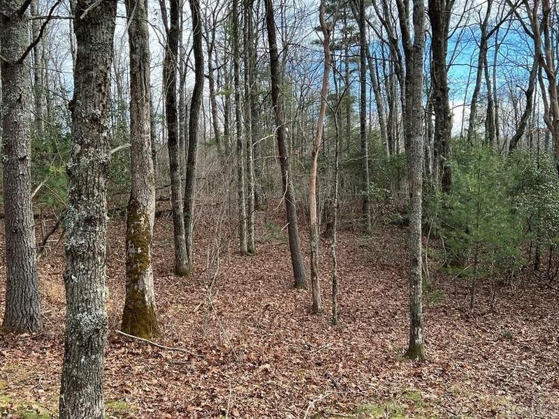 Glenville, Jackson County, NC Undeveloped Land, Homesites for sale Property ID: 418555231