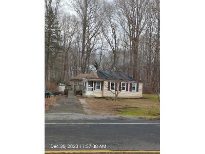 Bushy Hill Rd for Sale