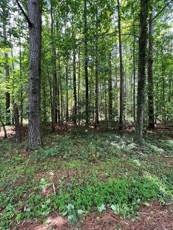 Lancaster, Lancaster County, VA Homesites for sale Property ID: 417159468