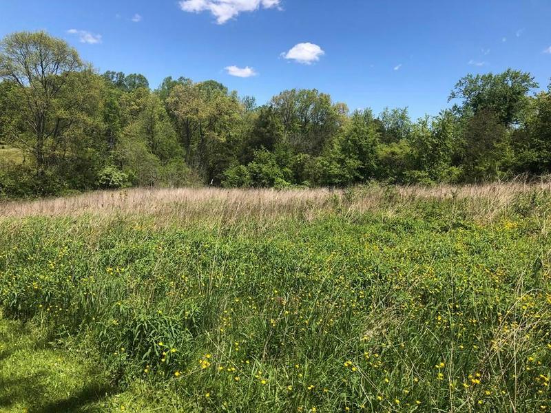 TBD LEE HWY, Bristol, VA 24202 Land For Sale  MLS# 92256