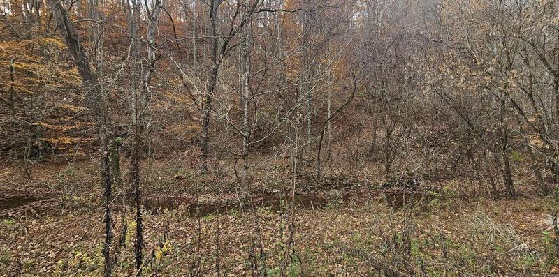 Tbd Caney Valley Loop, Surgoinsville, TN 37873  608765036 for Sale
